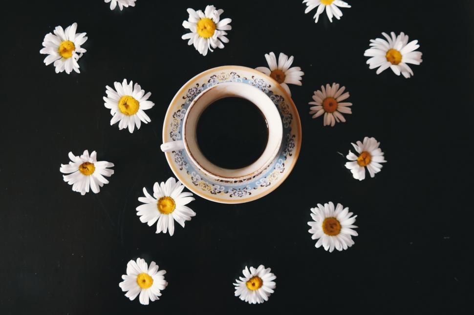 Free Image of A cup of coffee surrounded by flowers 