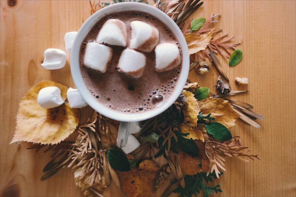 Free Image of A cup of hot chocolate with marshmallows on top 