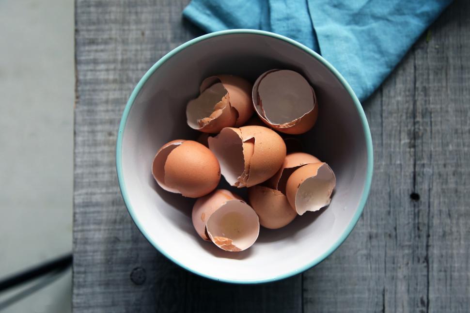 Free Image of Broken Eggs Free Stock Photo 