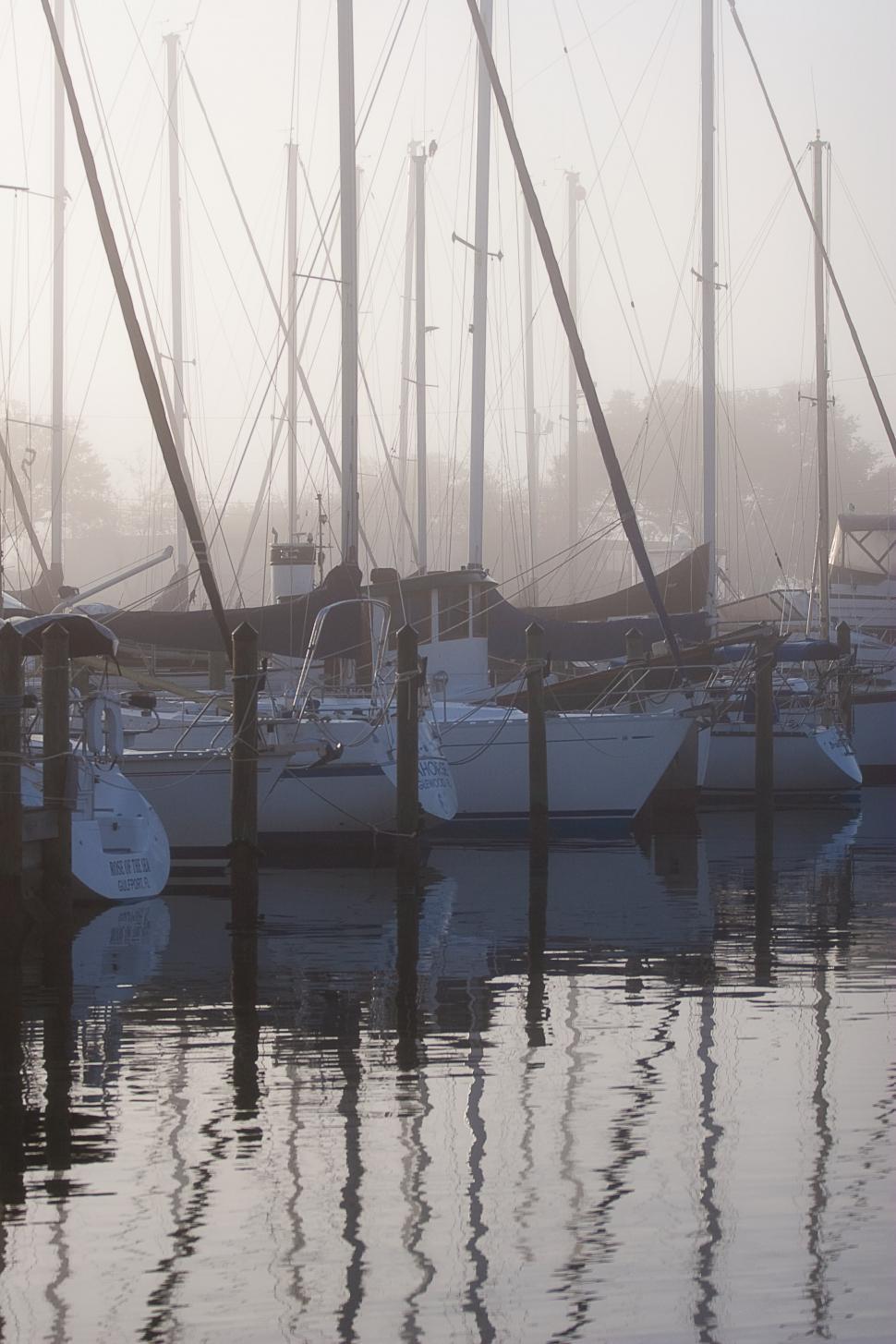 Free Image of Sailboats Docked in Harbor 