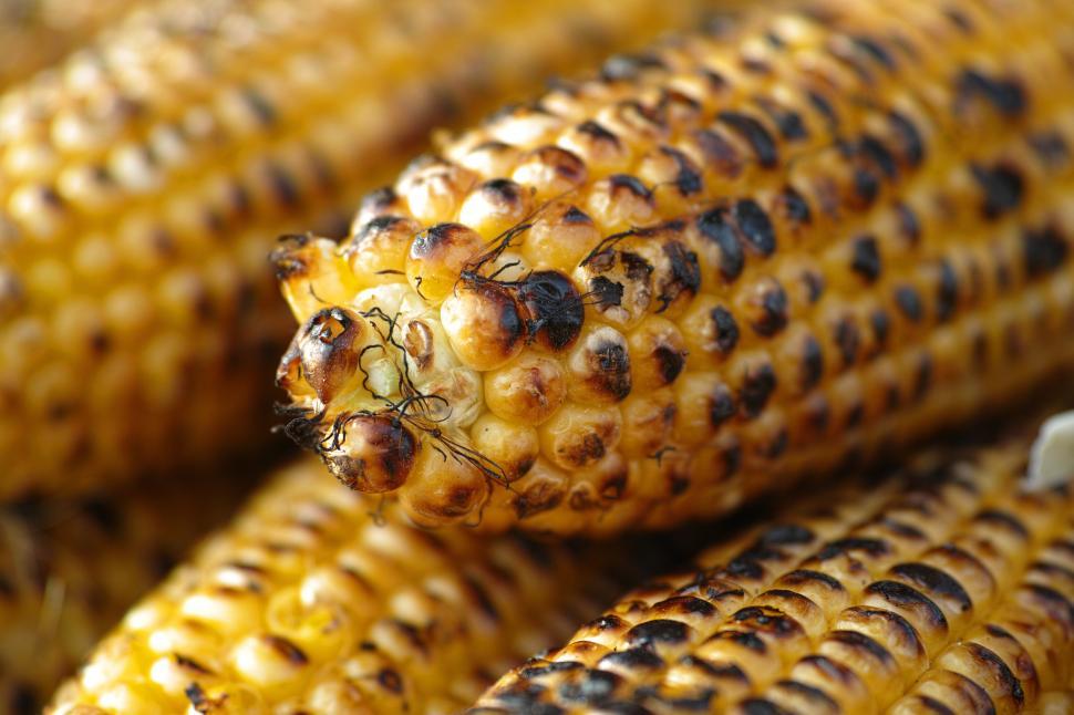 Free Image of A close up of corn on the cob 
