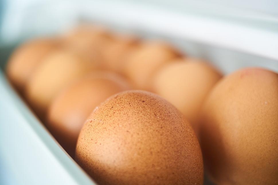 Free Image of A group of eggs in a container 