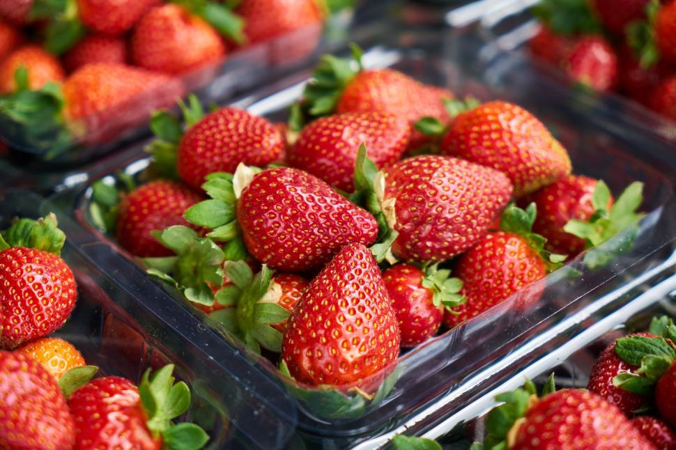 Free Image of A group of strawberries in plastic containers 