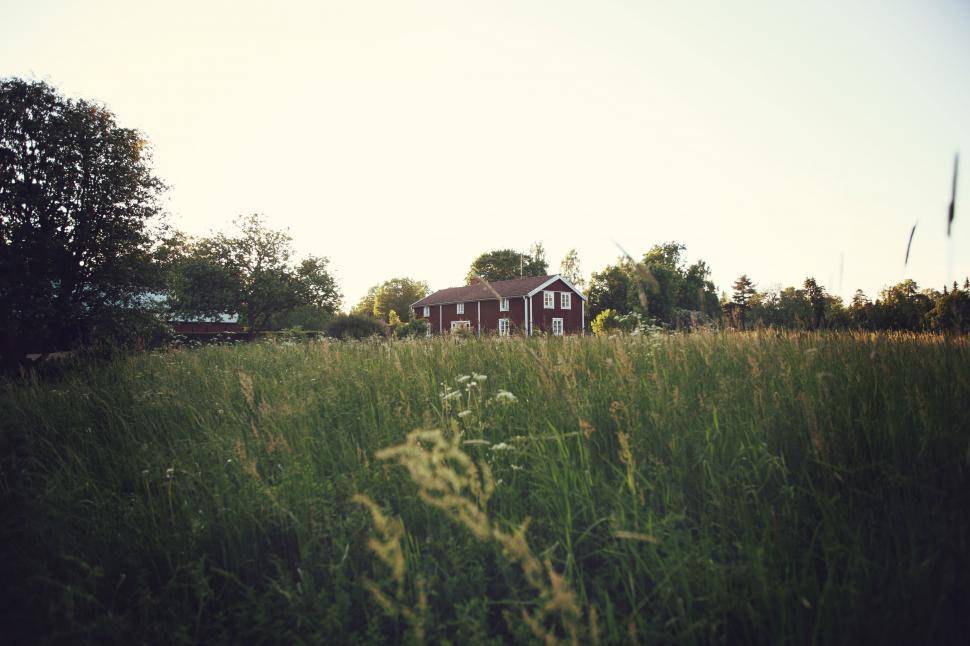 Free Image of A house in a field of tall grass 
