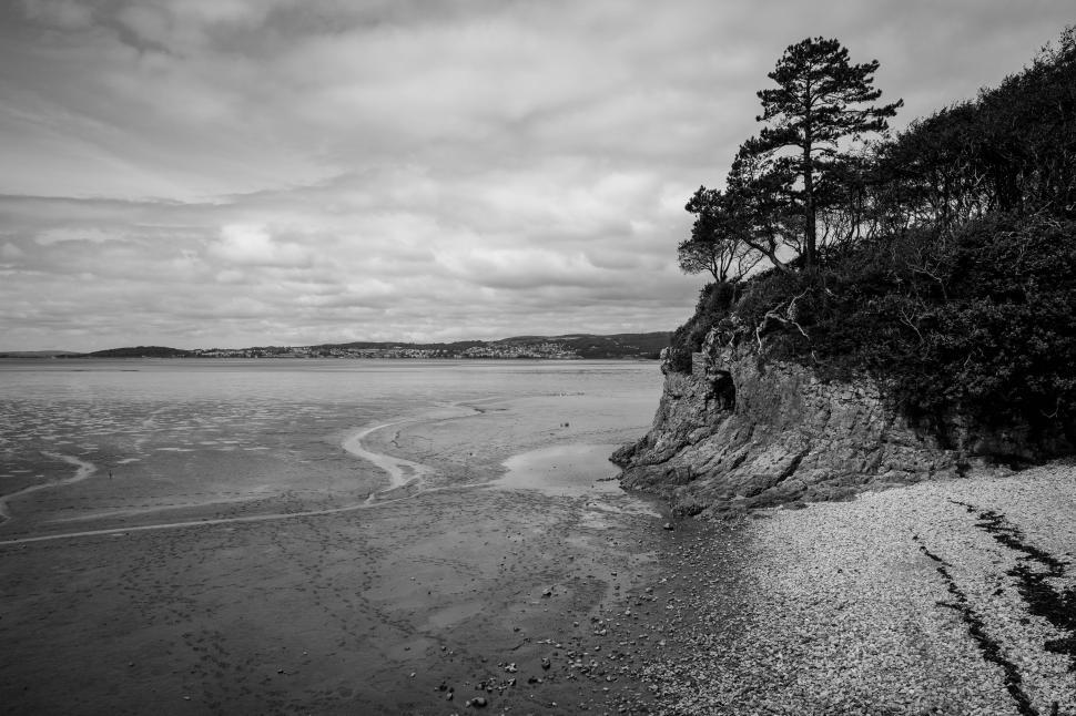 Free Image of A rocky beach with trees and a body of water 