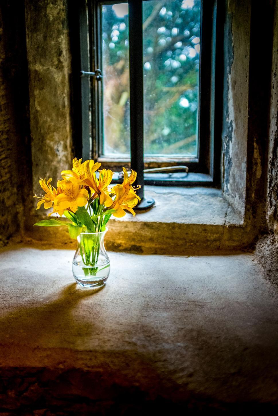 Free Image of A vase of yellow flowers in front of a window 