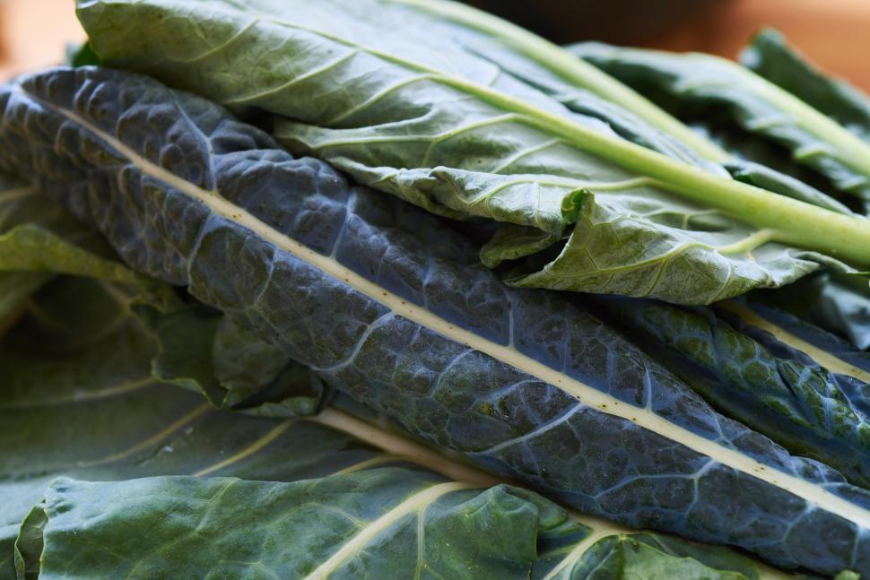 Free Image of A close up of a leafy vegetable 