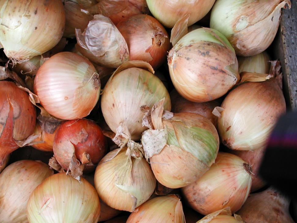 Free Image of A pile of onions 