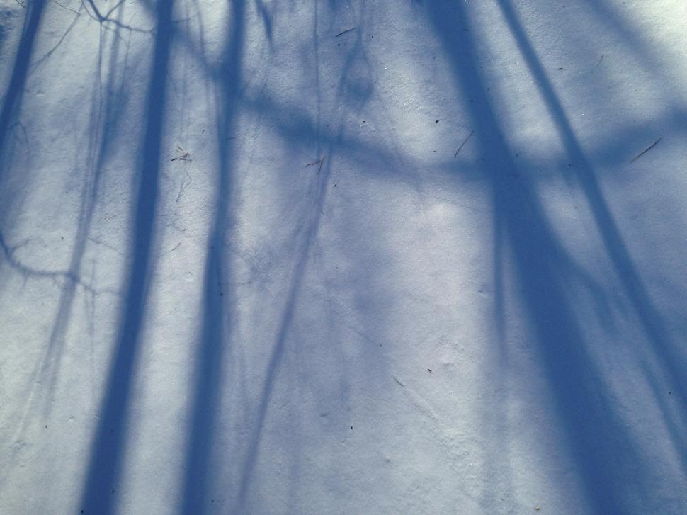 Free Image of Shadows on the snow 