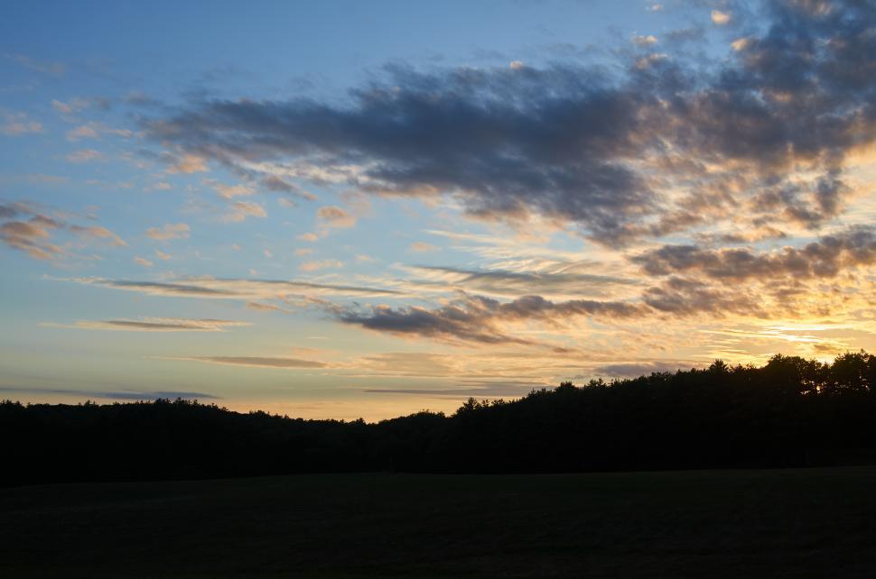 Free Image of A sunset over a field of trees 
