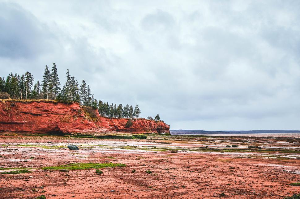 Free Image of A red rocky beach with trees on the side 