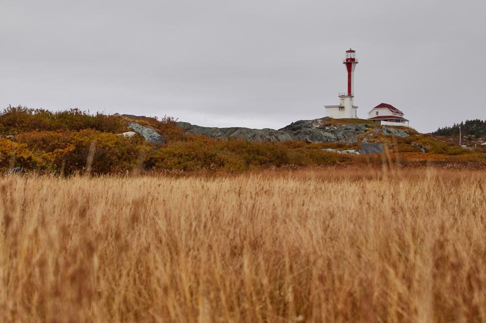 Free Image of A white and red lighthouse on a rocky hill with a grassy area 