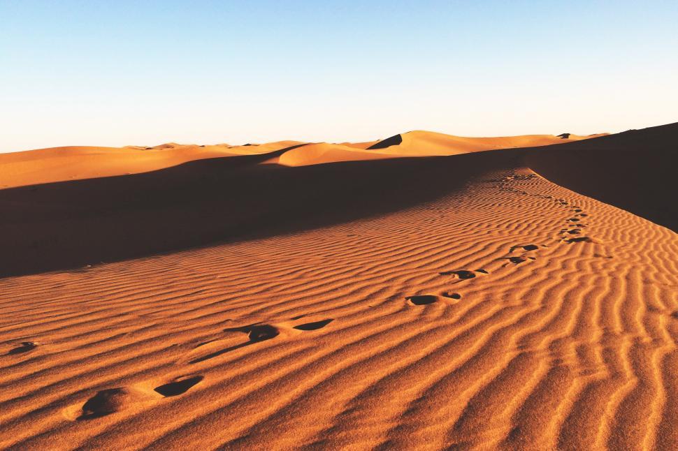 Free Image of A sand dunes with footprints in the sand 