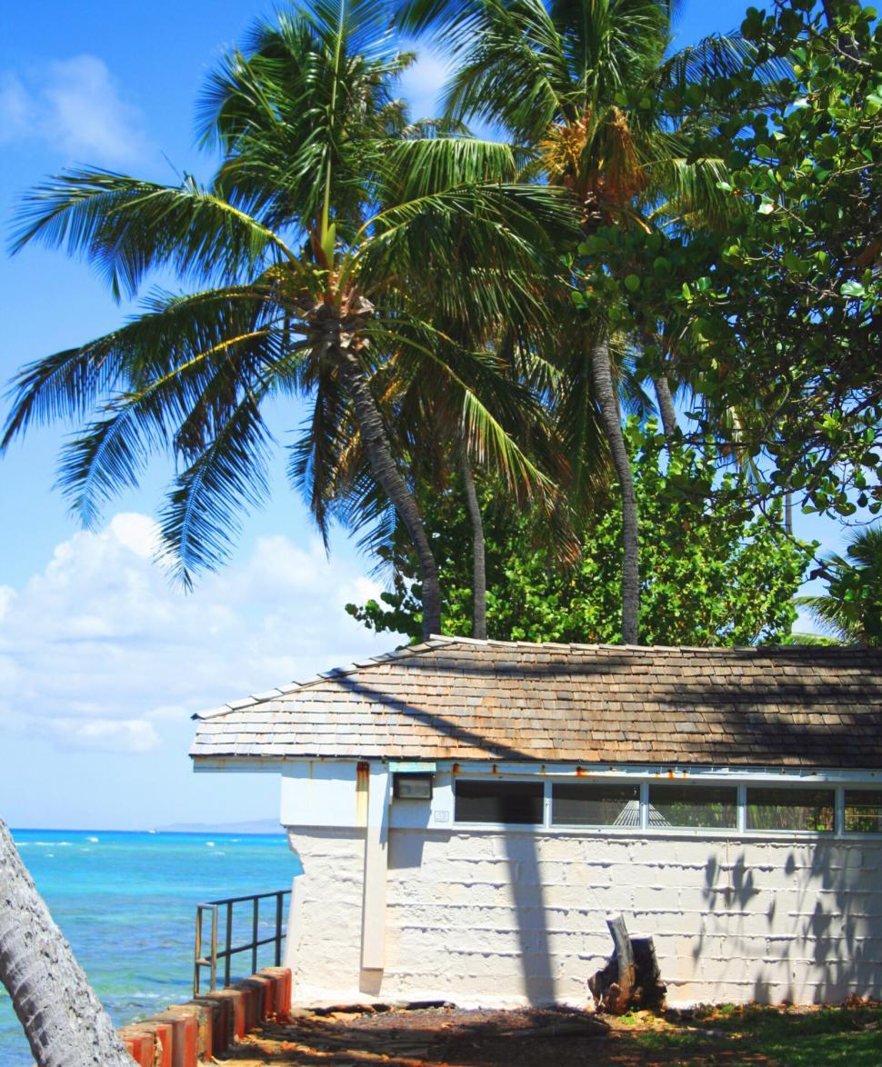 Free Image of A building with palm trees on a Hawaii beach 
