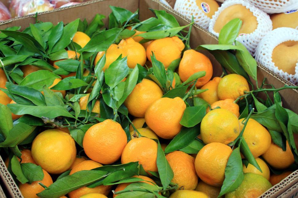 Free Image of A box of oranges with leaves 
