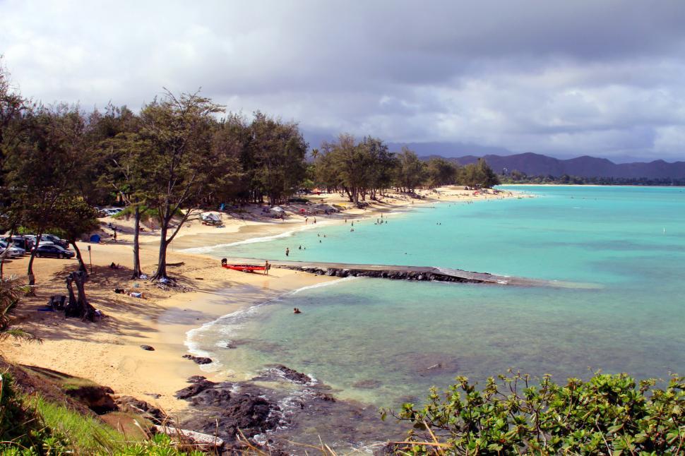 Free Image of A Hawaiian beach with trees and water 