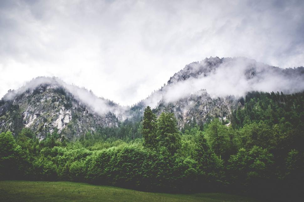 Free Image of A forest with mountains in the background 
