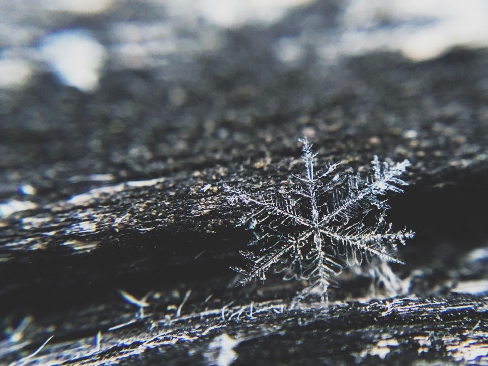 Free Image of A snowflake on a piece of wood 