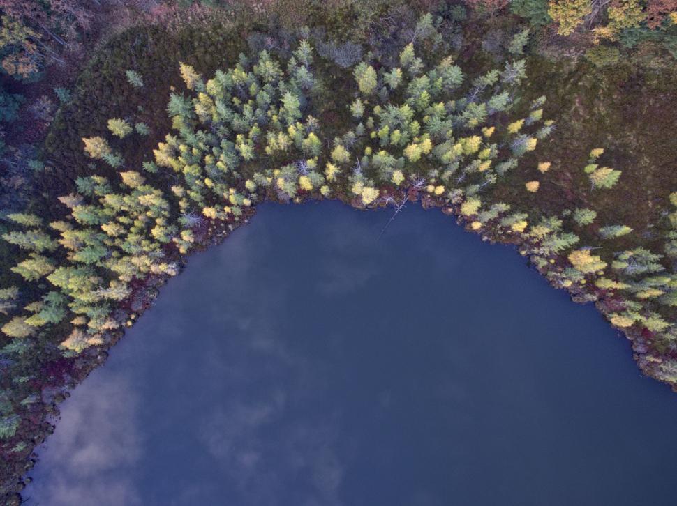 Free Image of A lake surrounded by trees 