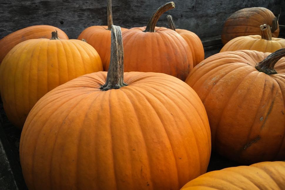 Free Image of A group of pumpkins on a wooden surface 