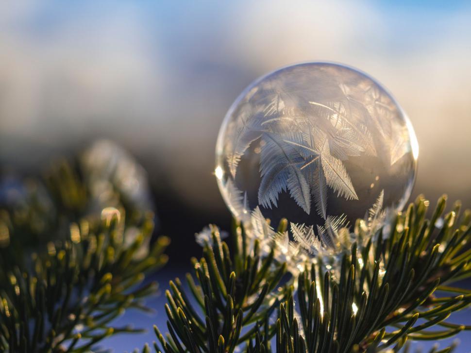 Free Image of A bubble with frost on it 