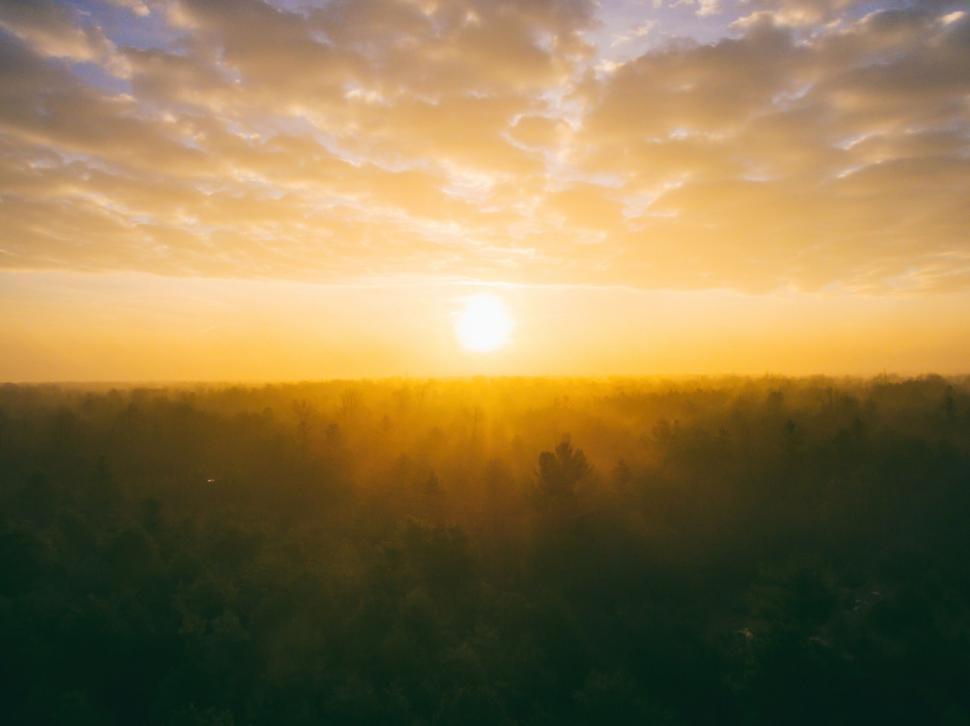 Free Image of A sunset over a forest 