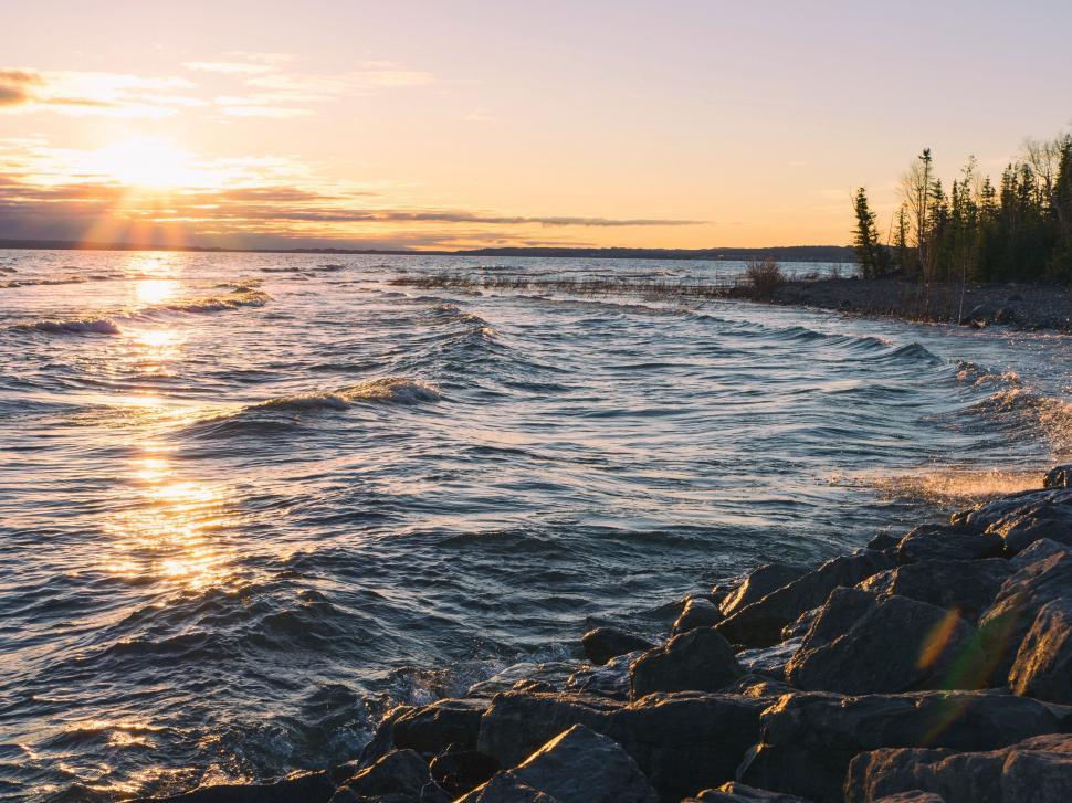 Free Image of A rocky shore with trees and a sunset 