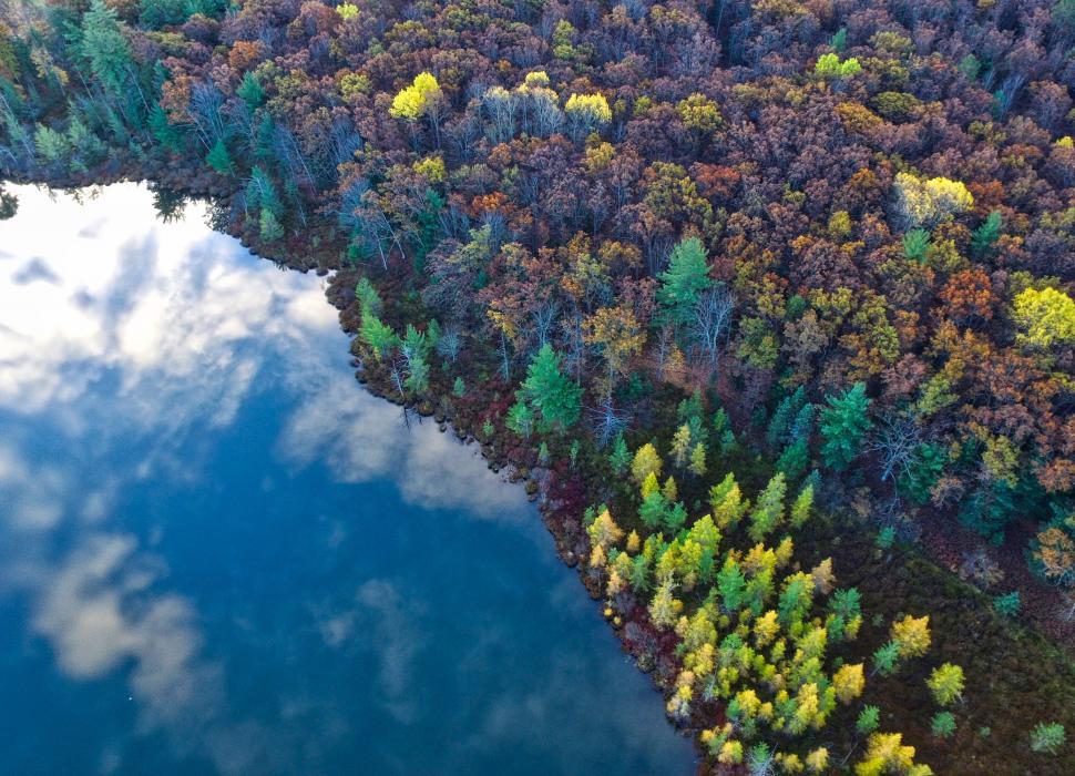 Free Image of A lake surrounded by trees 