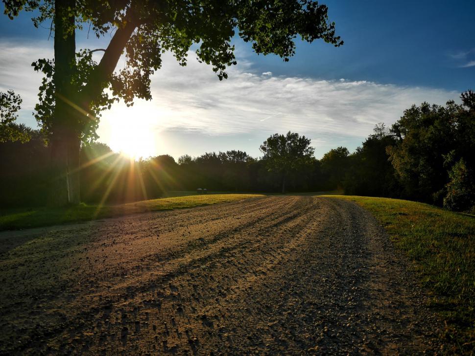 Free Image of A dirt road with trees and a blue sky 