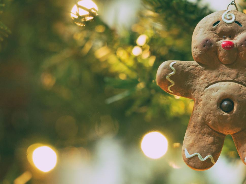 Free Image of A gingerbread man ornament from a tree 