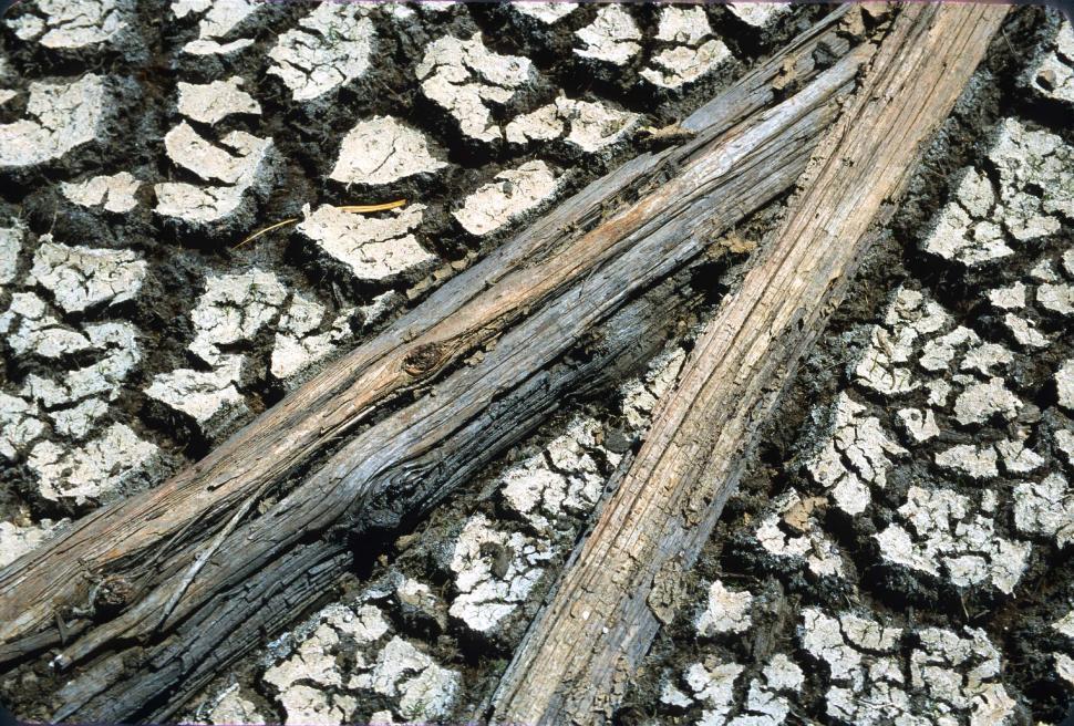 Free Image of Mud and wood 