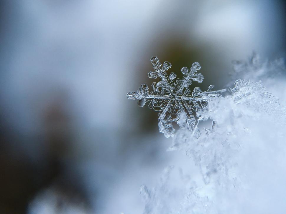 Free Image of A close up of a snowflake 