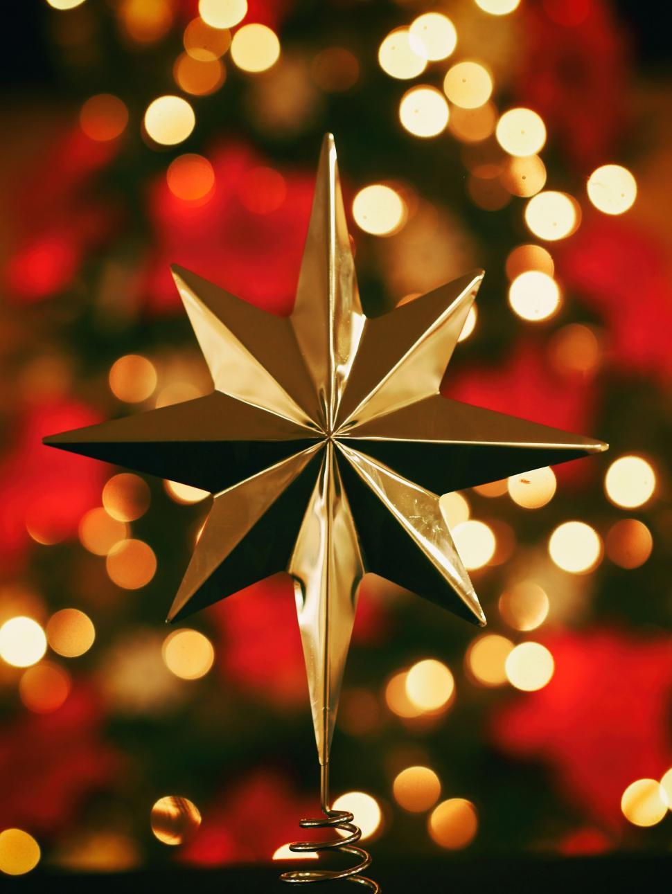 Free Image of A gold star on a tree 