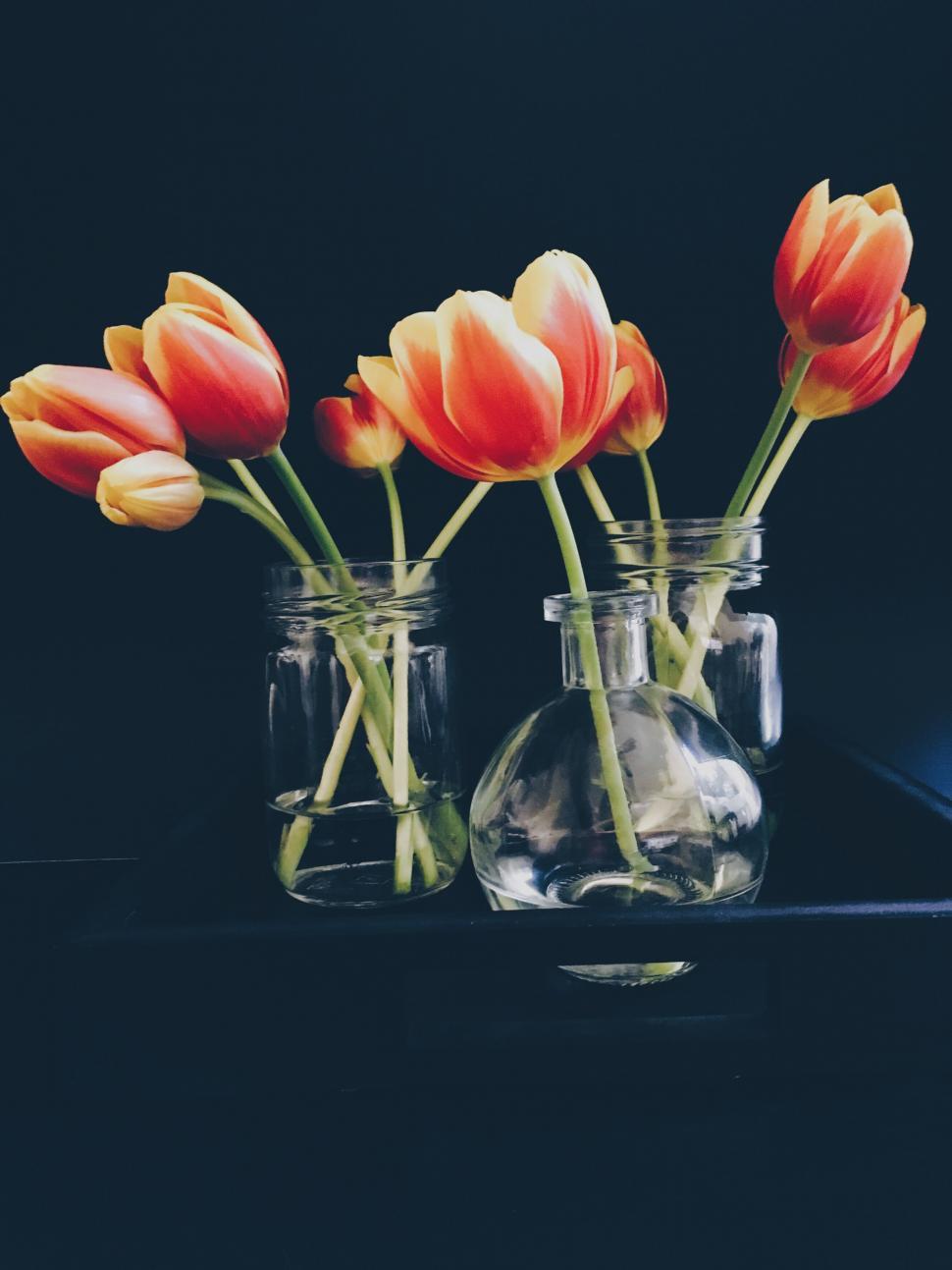 Free Image of A group of flowers in glass jars 