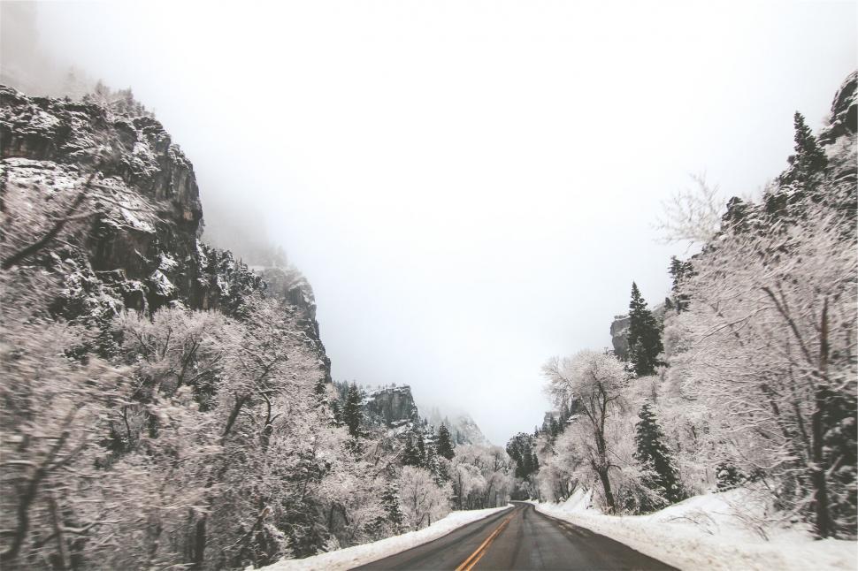 Free Image of A road with snow covered trees and mountains 