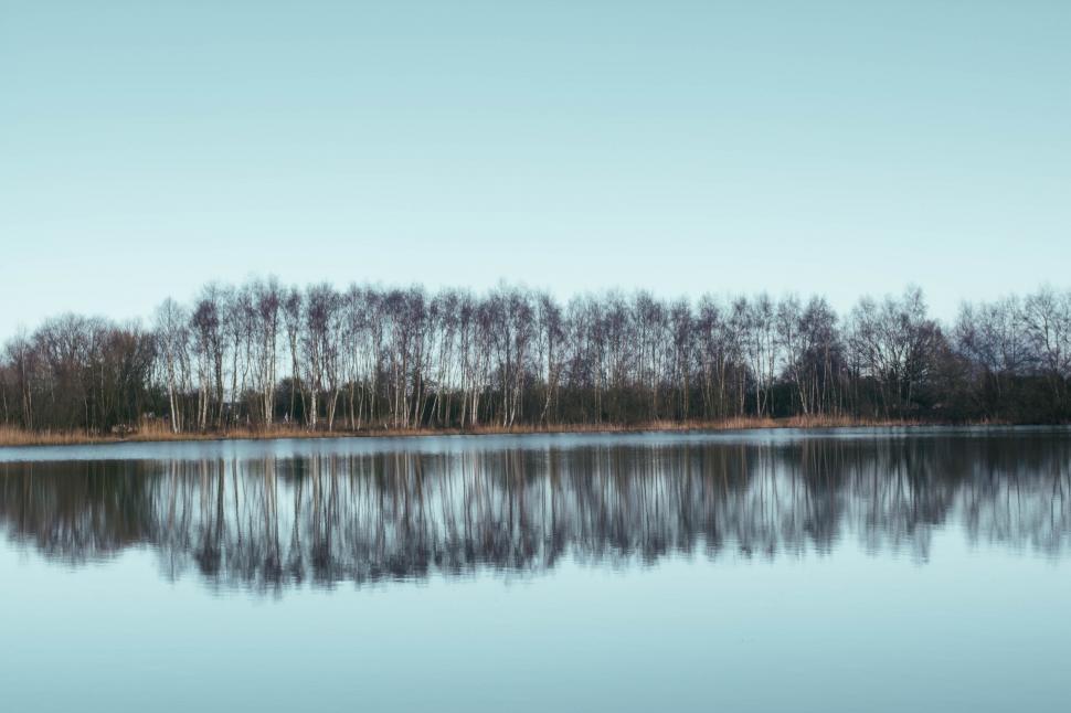 Free Image of A body of water with trees in the background 