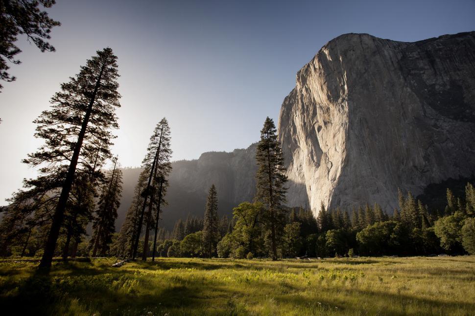 Free Image of A grassy field with trees and a large rock mountain 