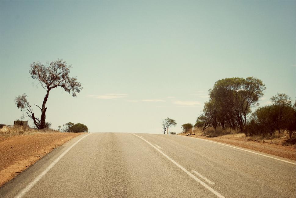Free Image of A road with trees on the side 