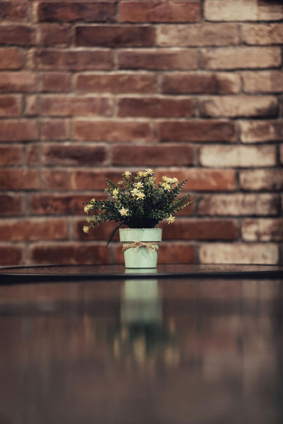 Free Image of A potted plant on a table 