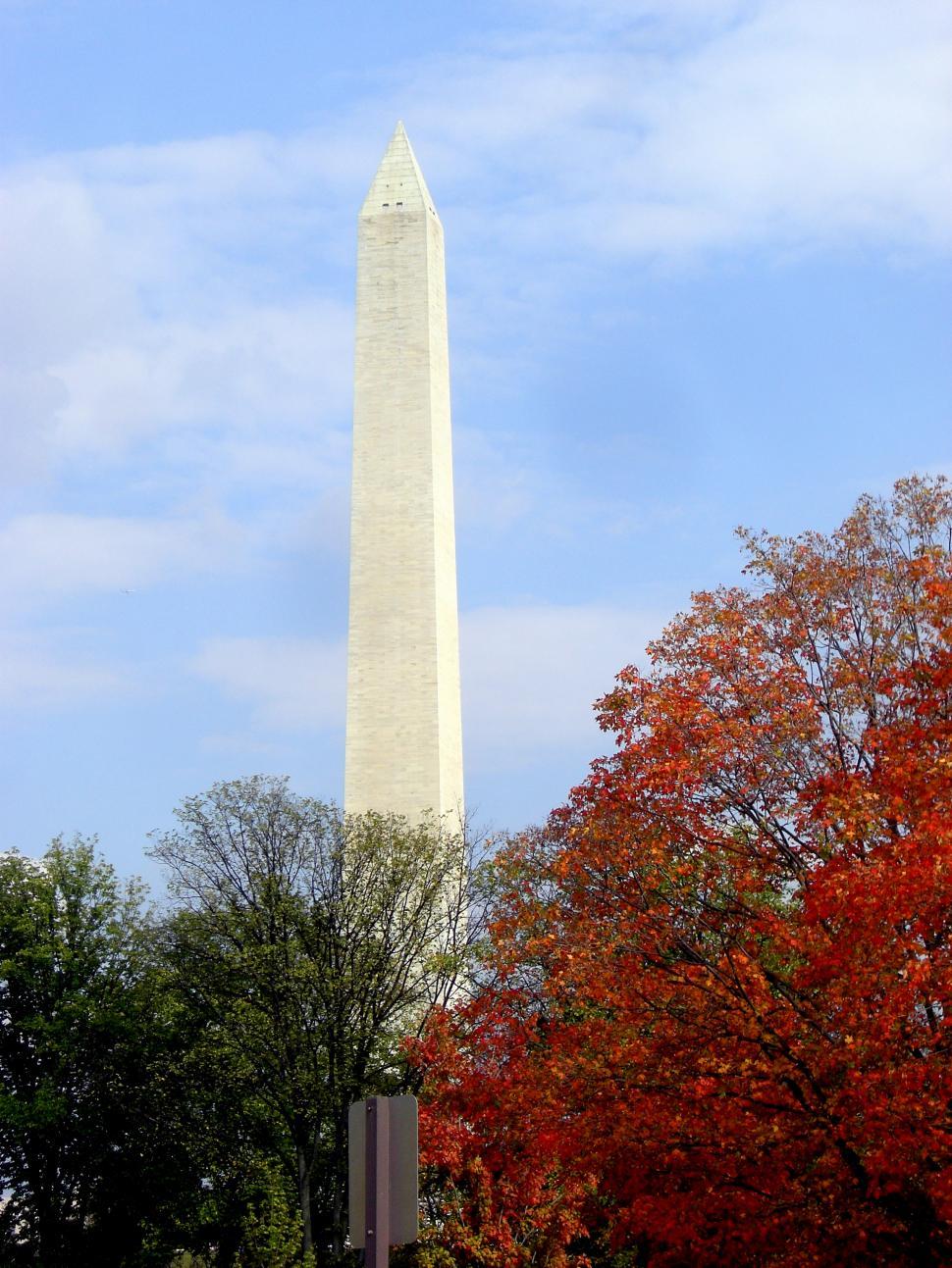 Free Image of Washington Monument Surrounded by Trees With Red Leaves 