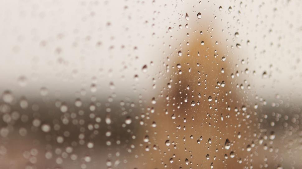 Free Image of Water drops on a window 