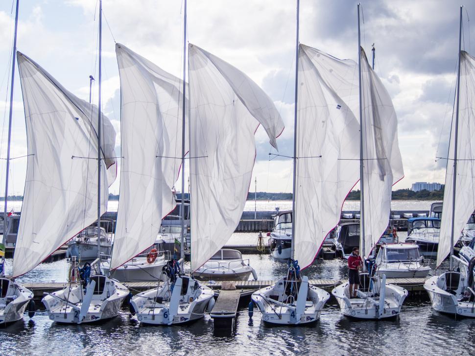Free Image of A group of sailboats on a dock 