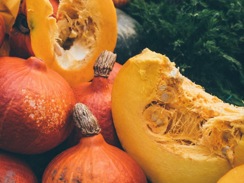 Free Image of A group of pumpkins and squashes 
