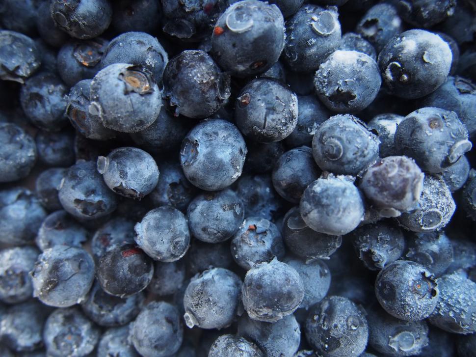 Free Image of A pile of blueberries 