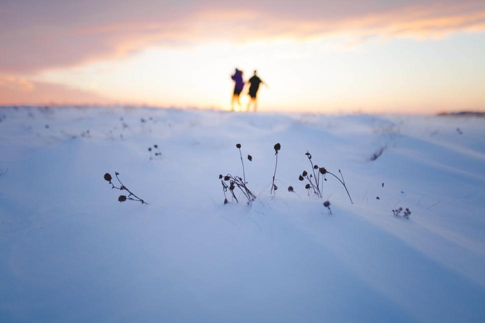 Free Image of A couple walking in the snow 