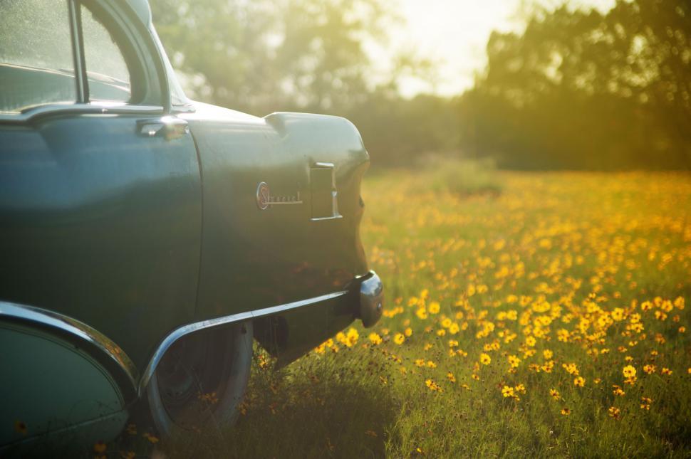 Free Image of A car parked in a field of yellow flowers 