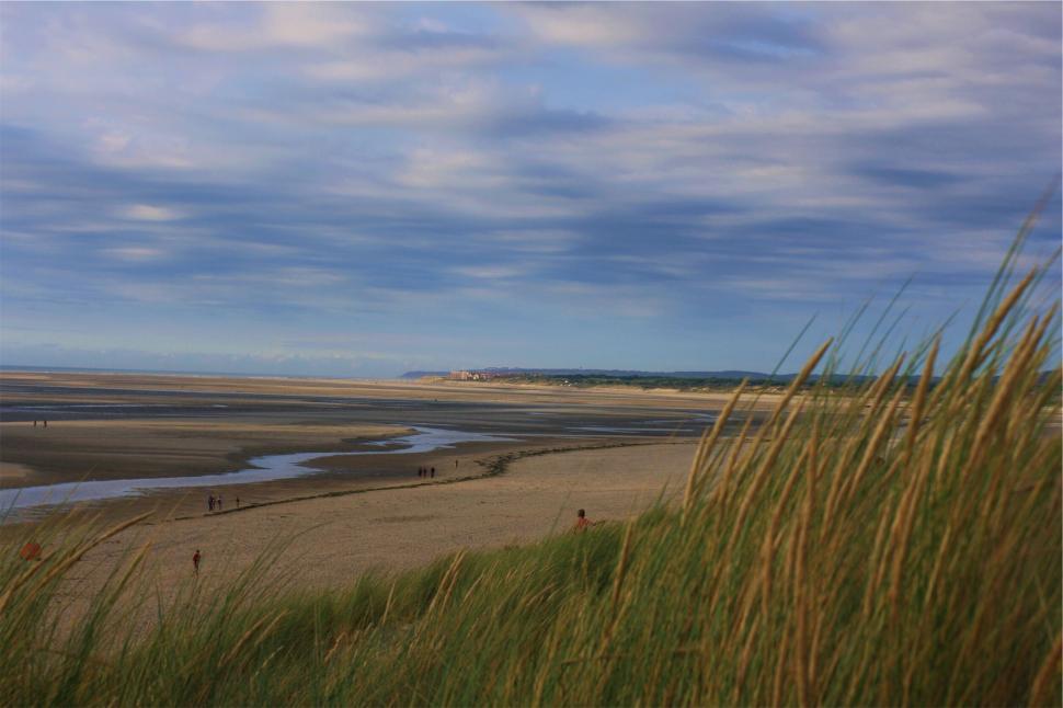Free Image of A beach with grass and a body of water 