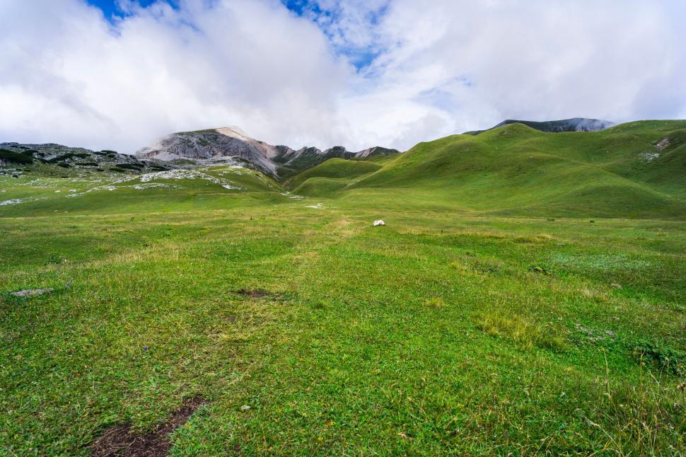 Free Image of A green grassy field with mountains in the background 
