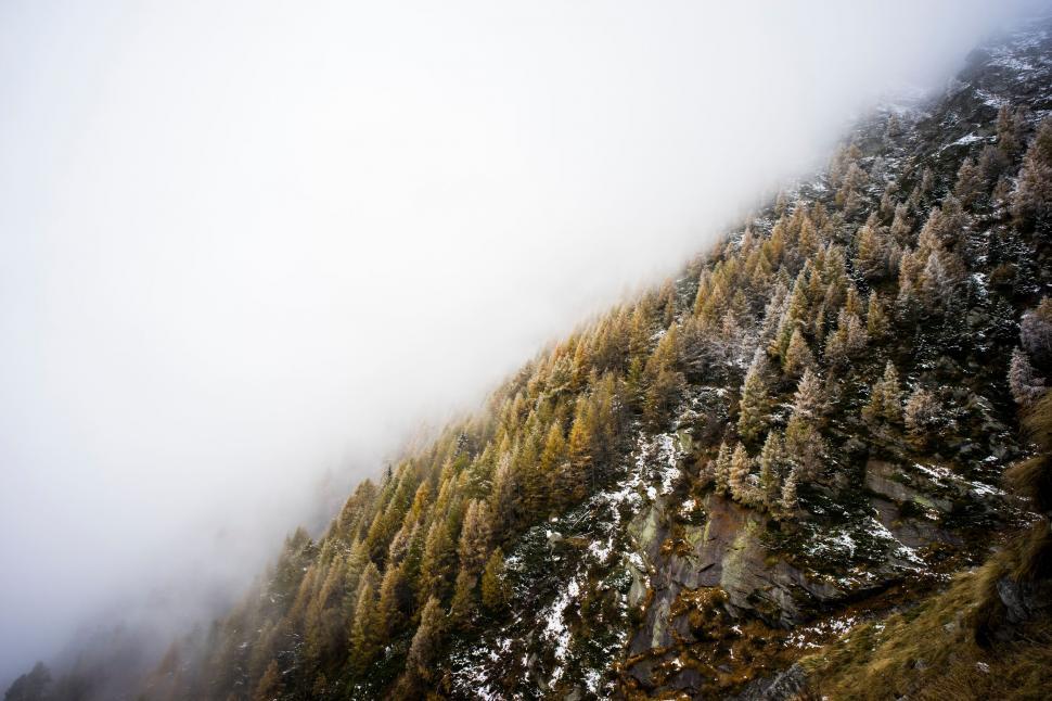 Free Image of A mountain with trees and fog 