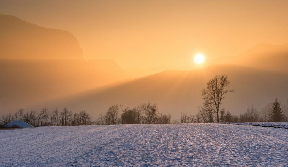 Free Image of A snowy field with trees and mountains in the background 